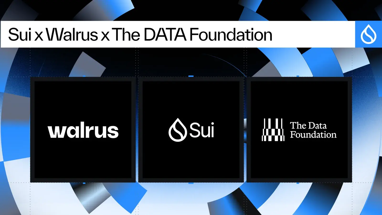 Walrus, Sui and The DATA Foundation logos