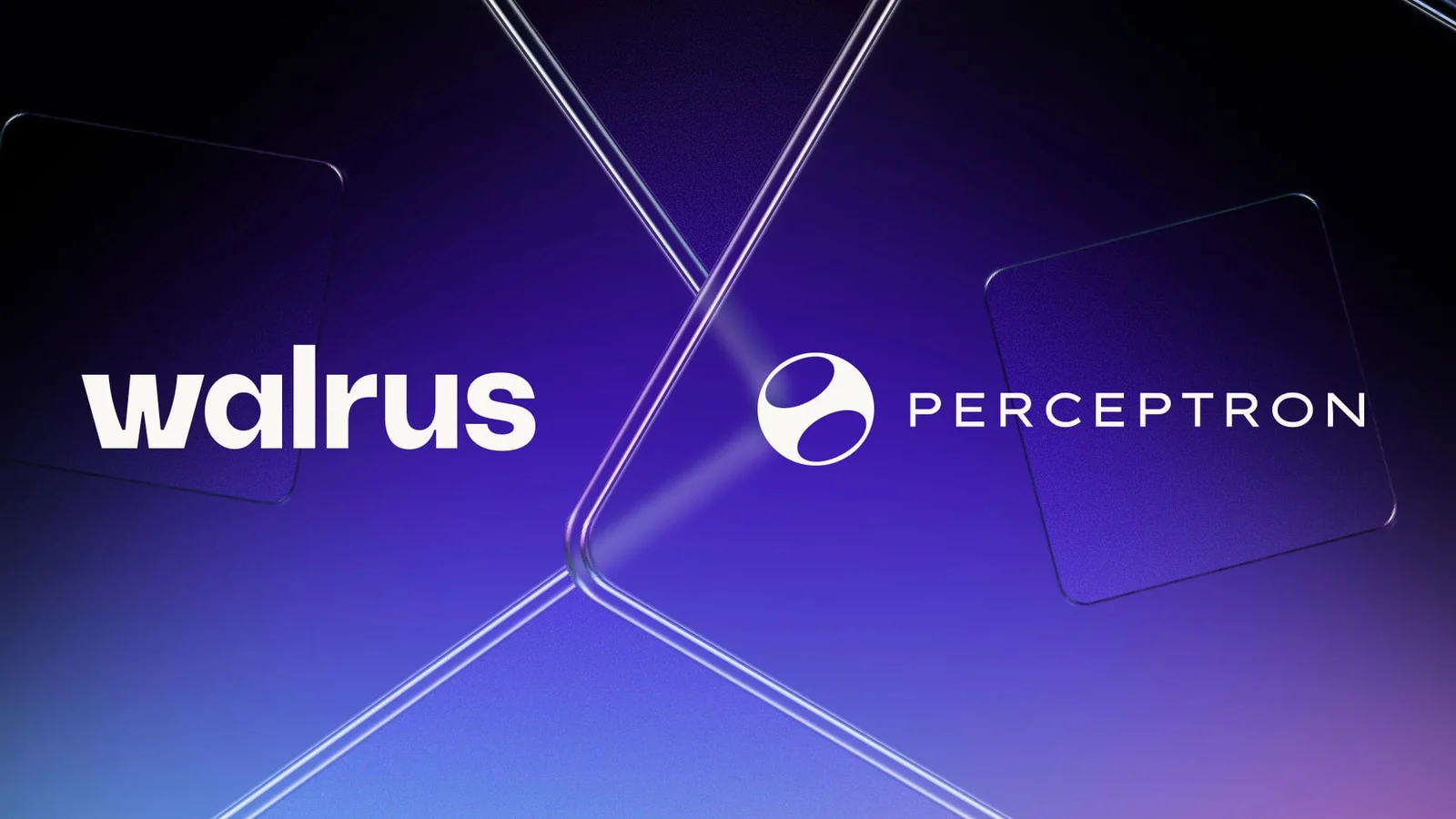 Walrus 与 Perceptron 标志