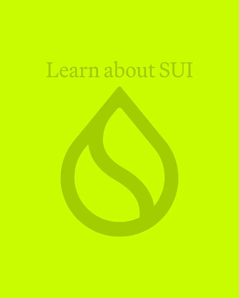 Robinhood Welcome to SUI 101 campaign video still